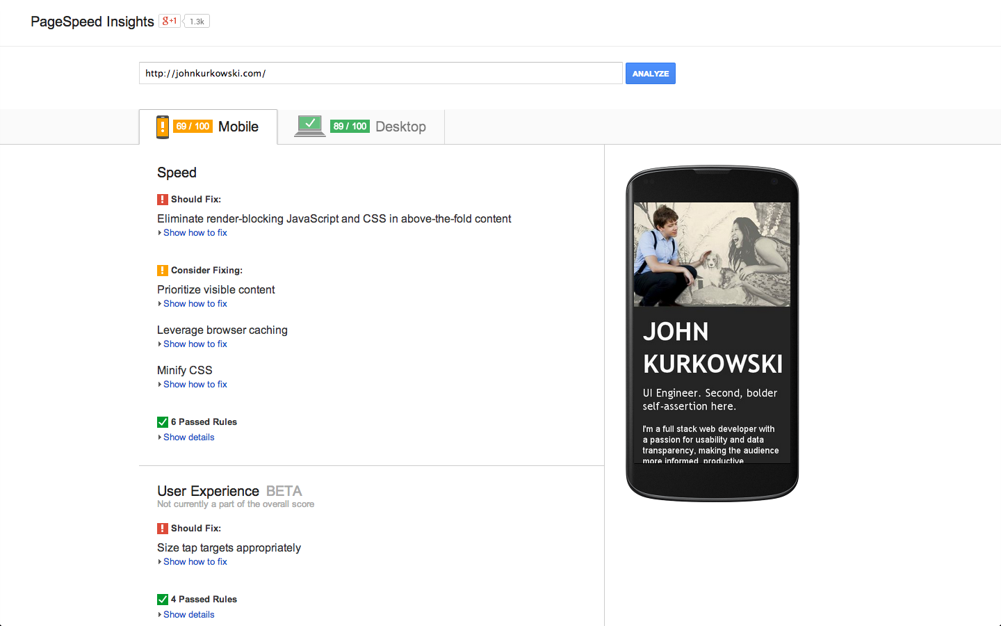 PageSpeed Insights - screenshot